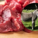 Con inflación en alza y el asado en retirada, impulsan la carne de burro como “alternativa viable” en Chubut