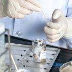 Se buscan donantes de excremento: por qué producir materia fecal de calidad puede convertirse en un trabajo