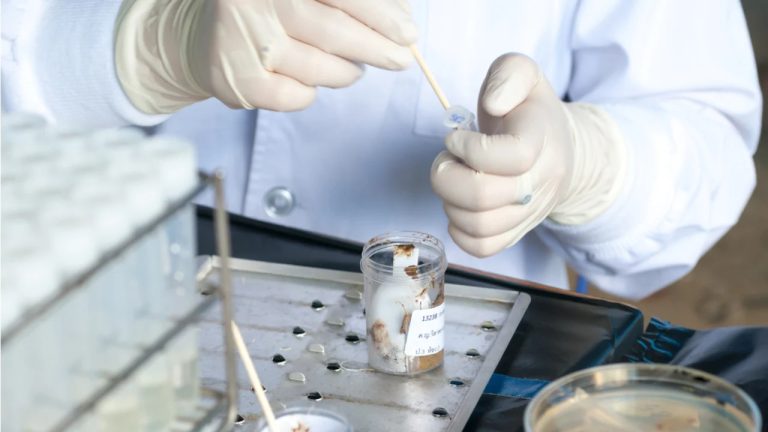 Se buscan donantes de excremento: por qué producir materia fecal de calidad puede convertirse en un trabajo