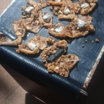 Intentó meter cocaína y marihuana en una comisaría dentro de once empanadas de carne